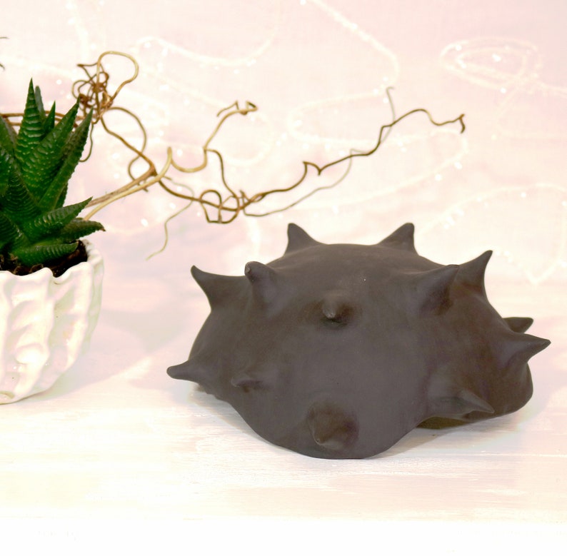KERA-MYSTIC big bowl sting sea snail Murex Phyllonotus from black PORZELLAN natural and elementary handmade Nr 033 from Keramunzel