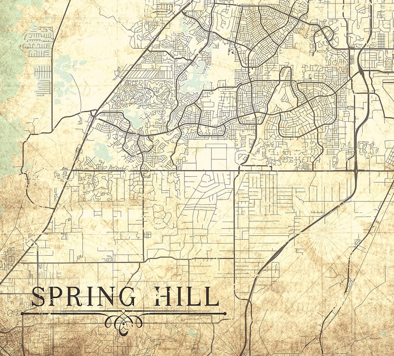 SPRING HILL FL Canvas Print Florida - Il 794xN.1419239473 Azk5