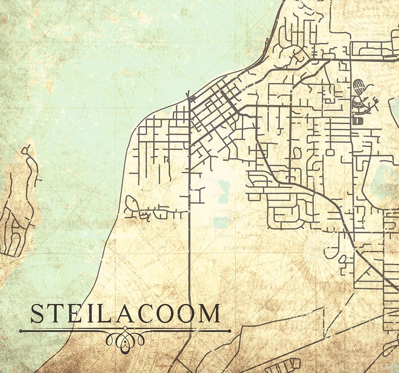 STEILACOOM WA Canvas Print Washington Vintage map Town Plan Etsy