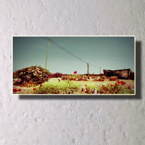 Derek Jarman S Garden Prospect Cottage Dungeness Kent Etsy