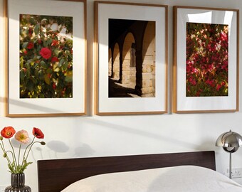 Print Set Of 3 | Nature photography | Gallery Wall Art  (Digital Download)