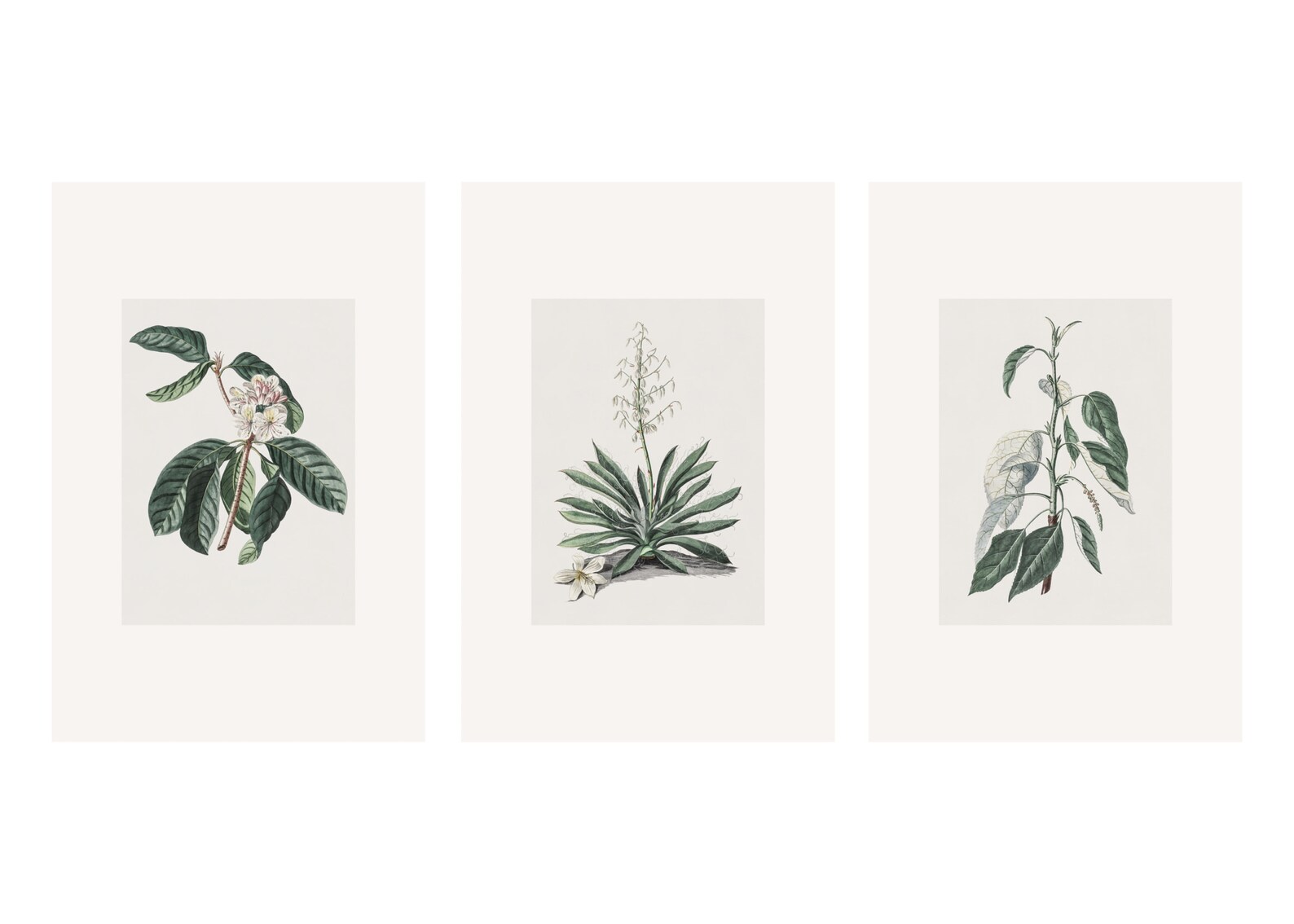 Gallery Wall Set of 13 Prints PRINTABLE Wall Art Etching Etsy