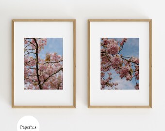 Cherry Blossom Study Set Of 2 | Soft Pink Spring Photography Prints | Printable Wall Art