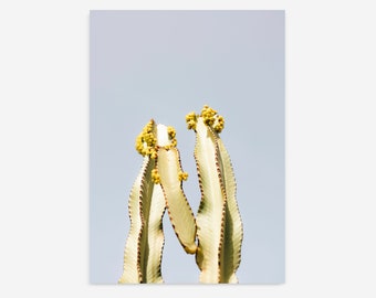 Cactus photography prints, Original Photography, PRINTABLE Wall Art, Cacti Print, Minimal aesthetic, Succulent photography, Photo Prints