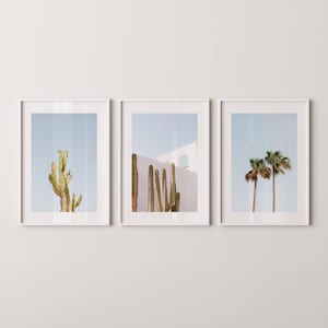 Set di 3 fotografie stampabili / Stampa di cactus / Foto di palme / Estetica estiva / Stampe originali / Prints2paper