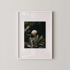 Original photography prints, Floral Wall Decor, PRINTABLE Wall Art, Emerald green wall art photography, Botanical photography