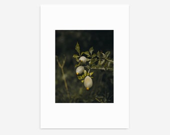 Stimmungsvolle botanische Fotografie, druckbare Wandkunst, Blumen Fotokunst, Originalfotografie, Grüntöne, modernes Dekor, Blumenkunst, Küchenkunst