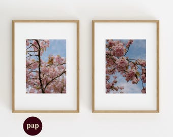 Cherry Blossom Study Set Of 2 | Soft Pink Spring Photography Prints | Printable Wall Art
