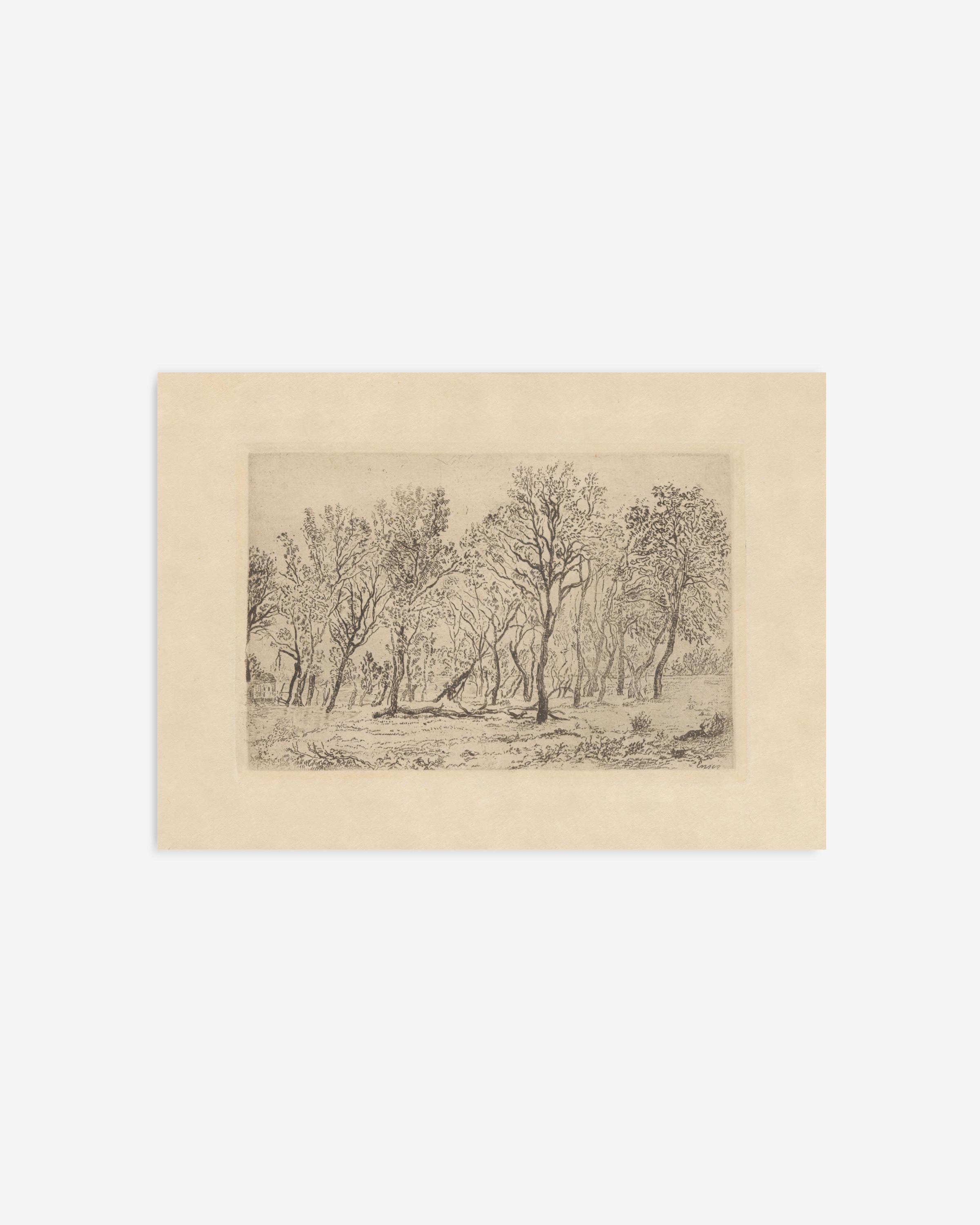 風景画 アンティーク ビンテージの森の風景画 | アンティーク風の木のイラスト | 詳細な植物