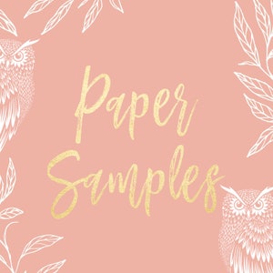 Puede incluir: Un fondo rosa con búhos blancos y hojas en los bordes. El texto "Paper Samples" está escrito en purpurina dorada.