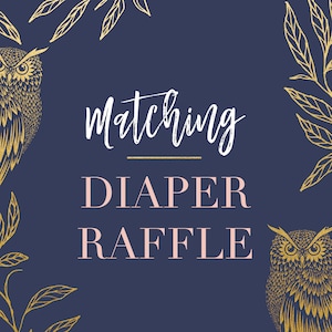 Matching Diaper Raffle Tickets, Matching Baby Shower Diaper Raffle, Diaper Ticket, Diaper Raffle Insert, Digital or Printed