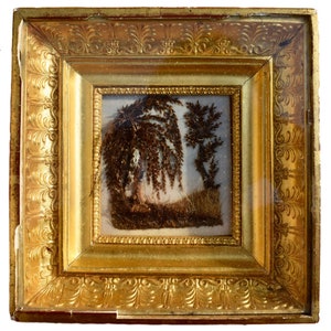Antique French Empire Hair Art Memento Rare Mourning Reliquary Wall Frame