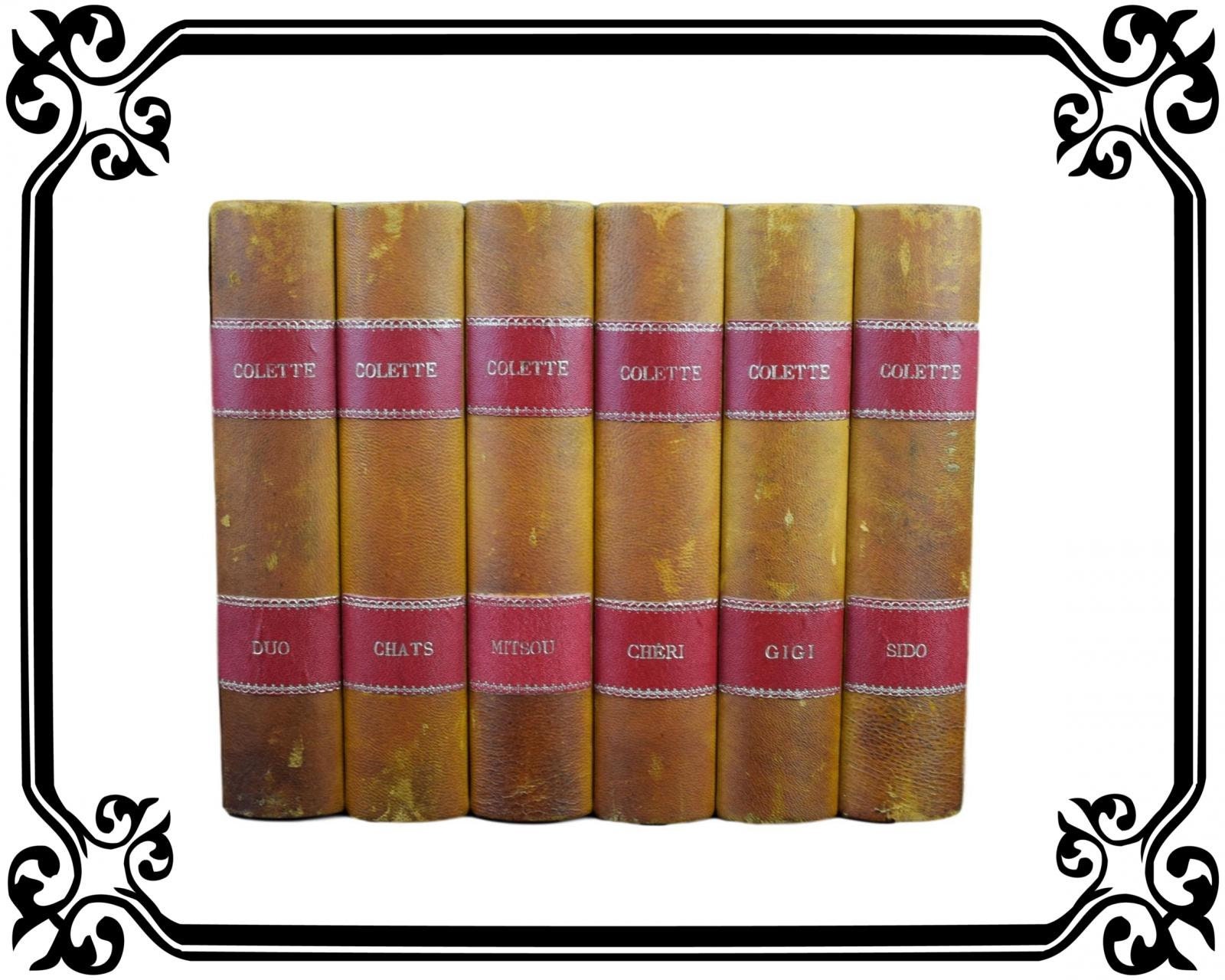 Antiquité Français Faux Bibliothèque Livres Écrivain Colette