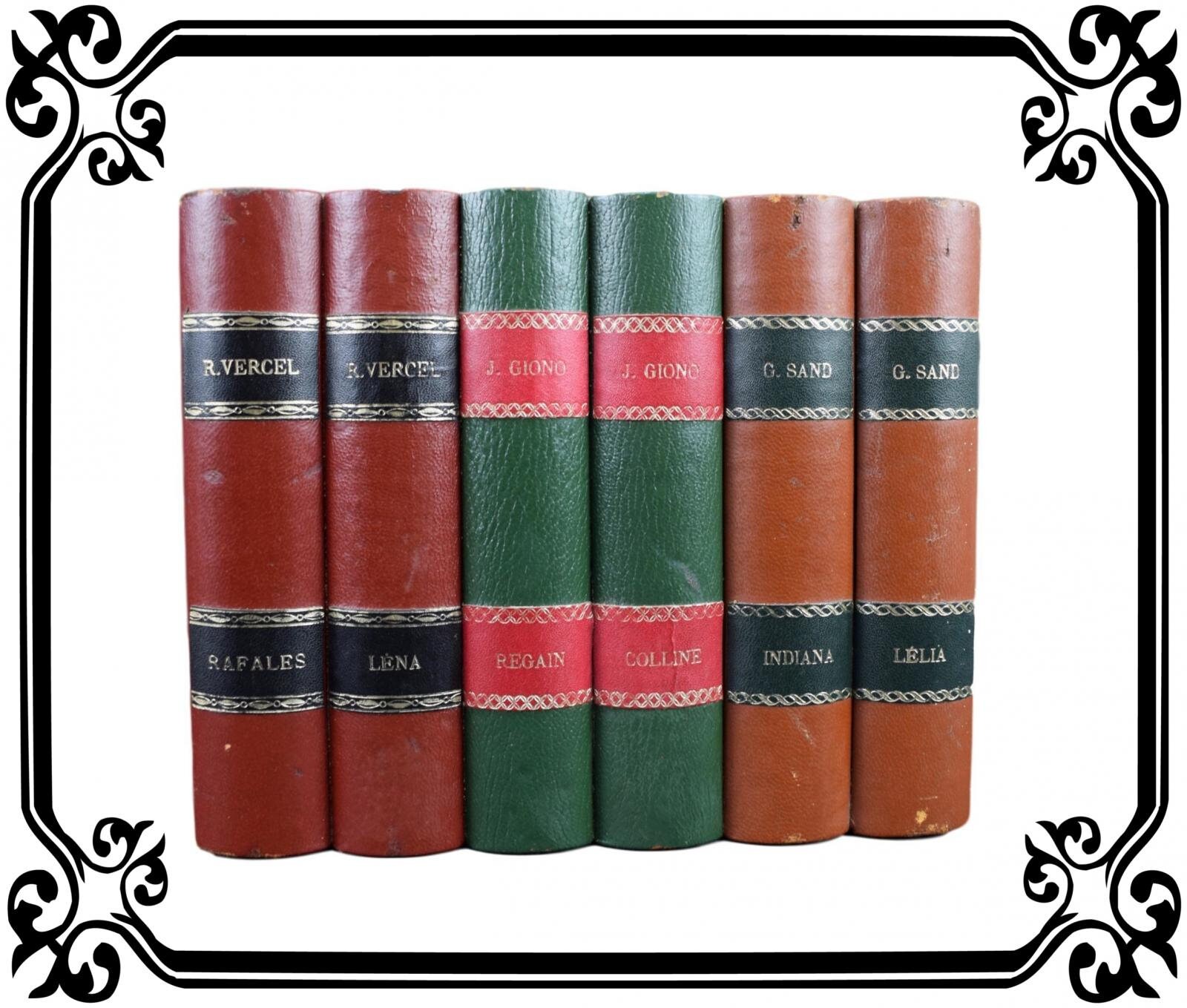 Antique French Faux Library Books Writers Vercel, Giono, Sand