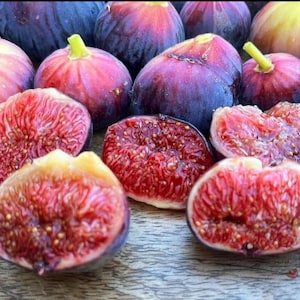 Fignomenal Fig Tree Combo: Yellow Long Neck & Black Mission