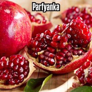 Parfyanka Pomegranate Tree – Live Plant for Sale (Rooted) | Cold Hardy Fruit Tree | Sweet Juicy Pomegranate Variety for Zones 7–10