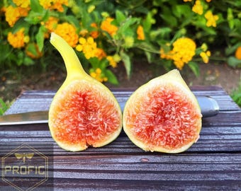 May include: Two halves of a fresh fig with a pale yellow skin and a vibrant, textured red interior pulp. The fruit is positioned on a dark, weathered wooden surface with a metallic knife blade visible behind the two pieces of fruit.
