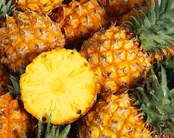 Può includere: Primo piano di un gruppo di ananas mature. Gli ananas sono gialli e hanno una buccia ruvida e testurizzata. Alcuni ananas sono tagliati a metà, rivelando la polpa succosa e gialla.