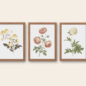 牡丹の花 12x15&quot; ウォールアート クロスステッチ パターン - 3 個セット - PDF をすぐにダウンロード