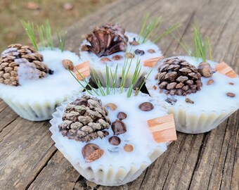 Sojawas natuurlijke vuurstarters, verpakking van 4, 2,5 oz per stuk
