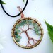 see more listings in the The Tree of Life section