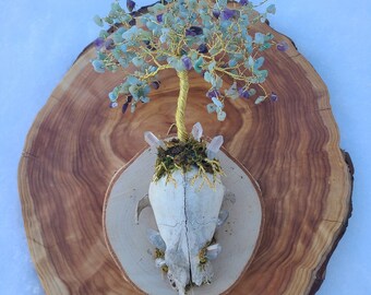 Life from Death ~ Crystal Tree of Life on Raccoon Skull Wall Decor~ Cruelty Free