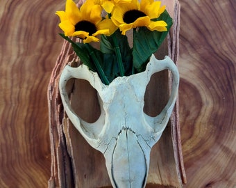 Beaver Skull With Sunflowers Wall Hanging ~ Life From Death Decor ~ Real Ethically Sourced Animal Bone