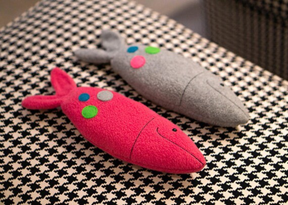 fish teddy