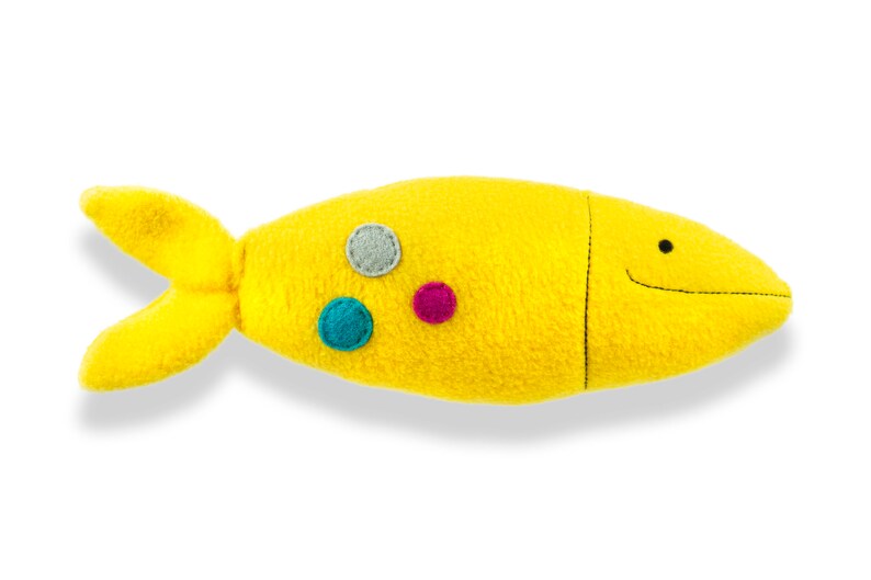 fish teddy