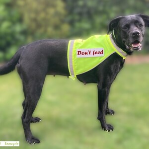 Cartamodello per gilet di sicurezza SPARKIE + PawPATCH bundle, gilet riflettente per cani, 6 taglie XS–XXL, lunghezza schiena 25–85 cm (9,8–33,5"). pdf immagine 2