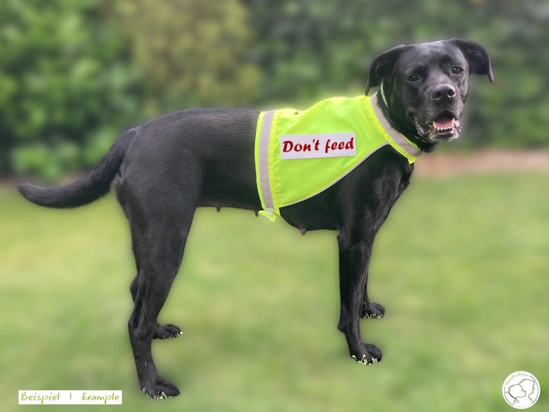 Cartamodello per gilet di sicurezza SPARKIE + PawPATCH bundle, gilet riflettente per cani, 6 taglie XS–XXL, lunghezza schiena 25–85 cm (9,8–33,5"). pdf immagine 2