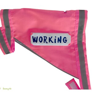 Pu&ograve; includere: Una bandiera di sicurezza rosa acceso con strisce grigie riflettenti e la parola "WORKING" in lettere blu su un rettangolo bianco. Progettata per la visibilit&agrave;.