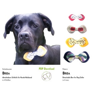 Bow for dogs sewing pattern BRIDA. 4 sizes. PDF