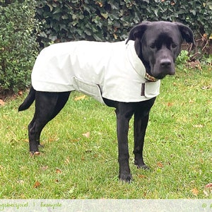 Dog Coat & Supplement Set Sewing pattern PELERIN Set, XS-XXL, back 25-85 cm. pdf image 3