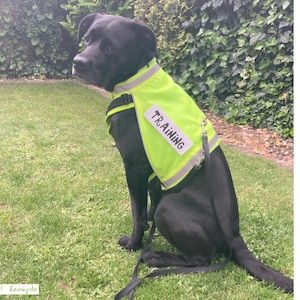 Pu&ograve; includere: Un cartello in legno rustico con la scritta "Welcome to our home" in lettere bianche. Il cartello presenta una finitura invecchiata e un design semplice e accogliente, ideale per un portico o un ingresso.