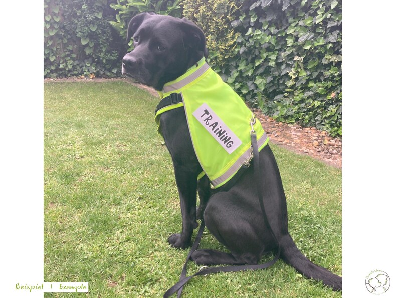 Pu&ograve; includere: Un cartello in legno rustico con la scritta "Welcome to our home" in lettere bianche. Il cartello presenta una finitura invecchiata e un design semplice e accogliente, ideale per un portico o un ingresso.