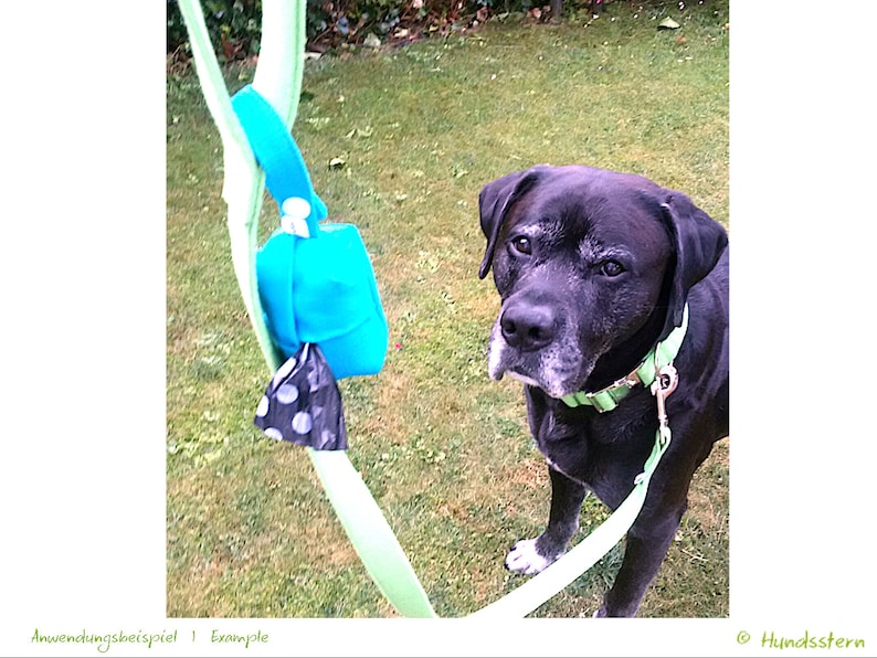 Poop bag bag pattern WALKIES BOX with cardboard closure. PDF image 5