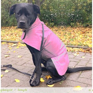 Dog Coat & Supplement Set Sewing pattern PELERIN Set, XS-XXL, back 25-85 cm. pdf image 4