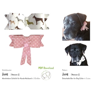 Patrón de costura de lazo para perros JANE. 3 tamaños. PDF
