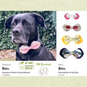 Dog Bow Sewing Pattern BRIDA, detachable, 4 sizes, 10.5-16.5 cm (4.1-6.5"). Wedding, birthday, Christmas. PDF download