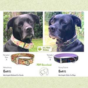 Può includere: Due cani neri con collari martingale colorati. I collari sono mostrati in dettaglio sotto i cani. Uno ha un motivo floreale, l'altro del testo. L'immagine include il testo "INCL. VIDEO TUTORIAL" e "PDF Download".