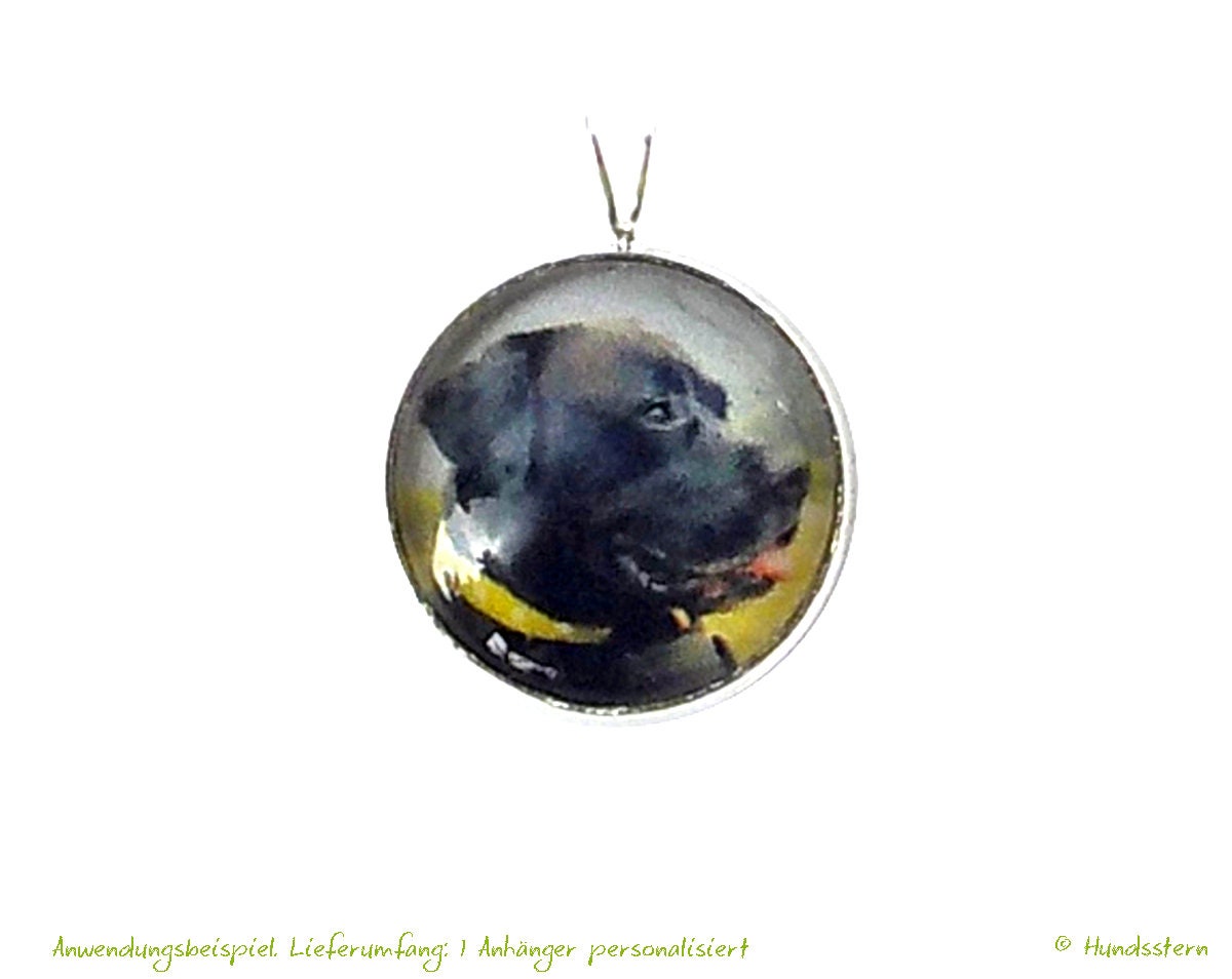 Mypets necklace discount