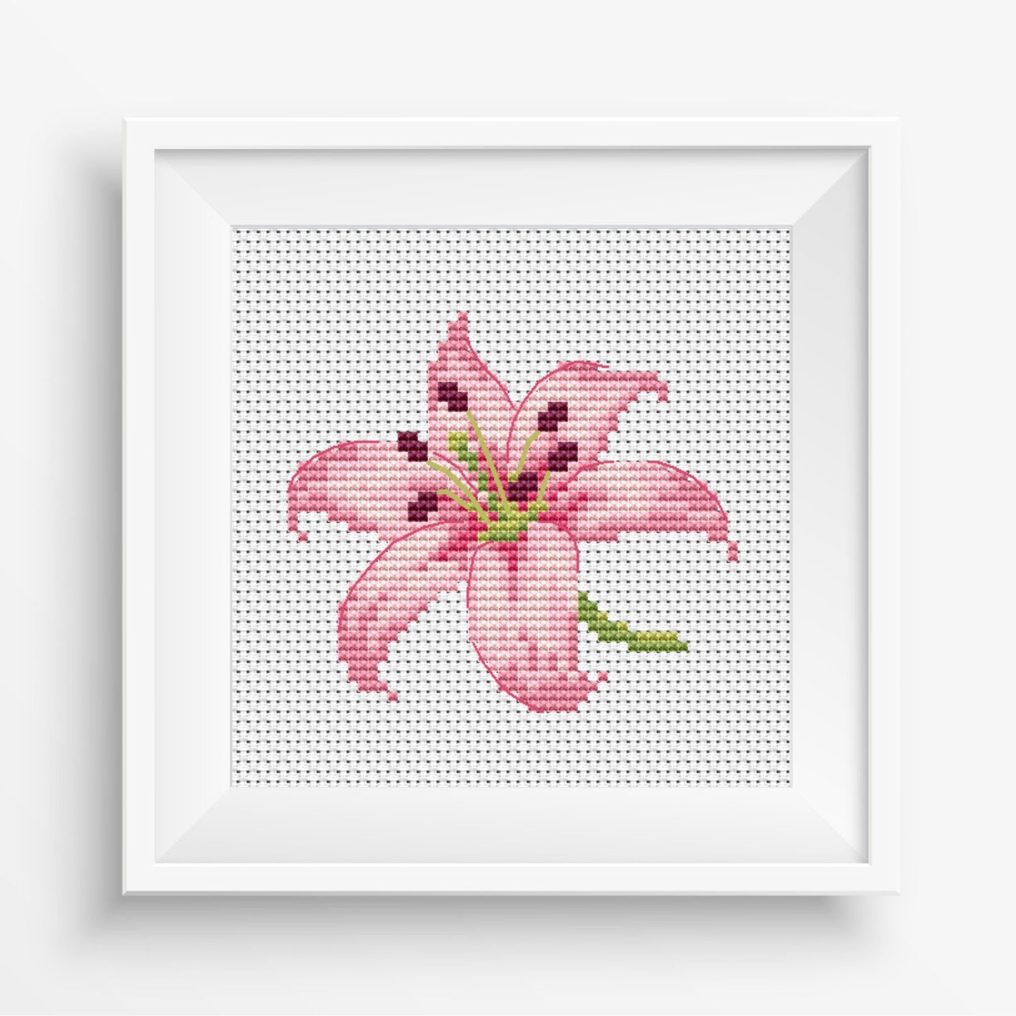 Eiialerm Kits De Point De Croix Pour Adultes Colombe Rose DIY