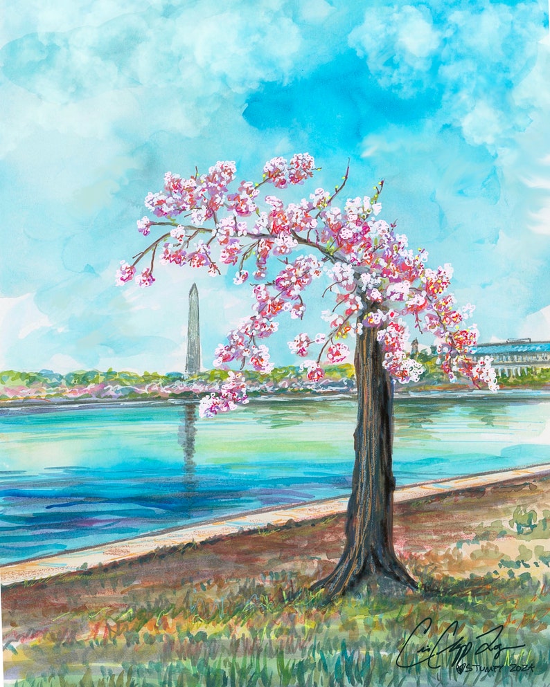 Washington Monument Tidal Basin and Cherry Blossoms by Cris Clapp Logan image 1