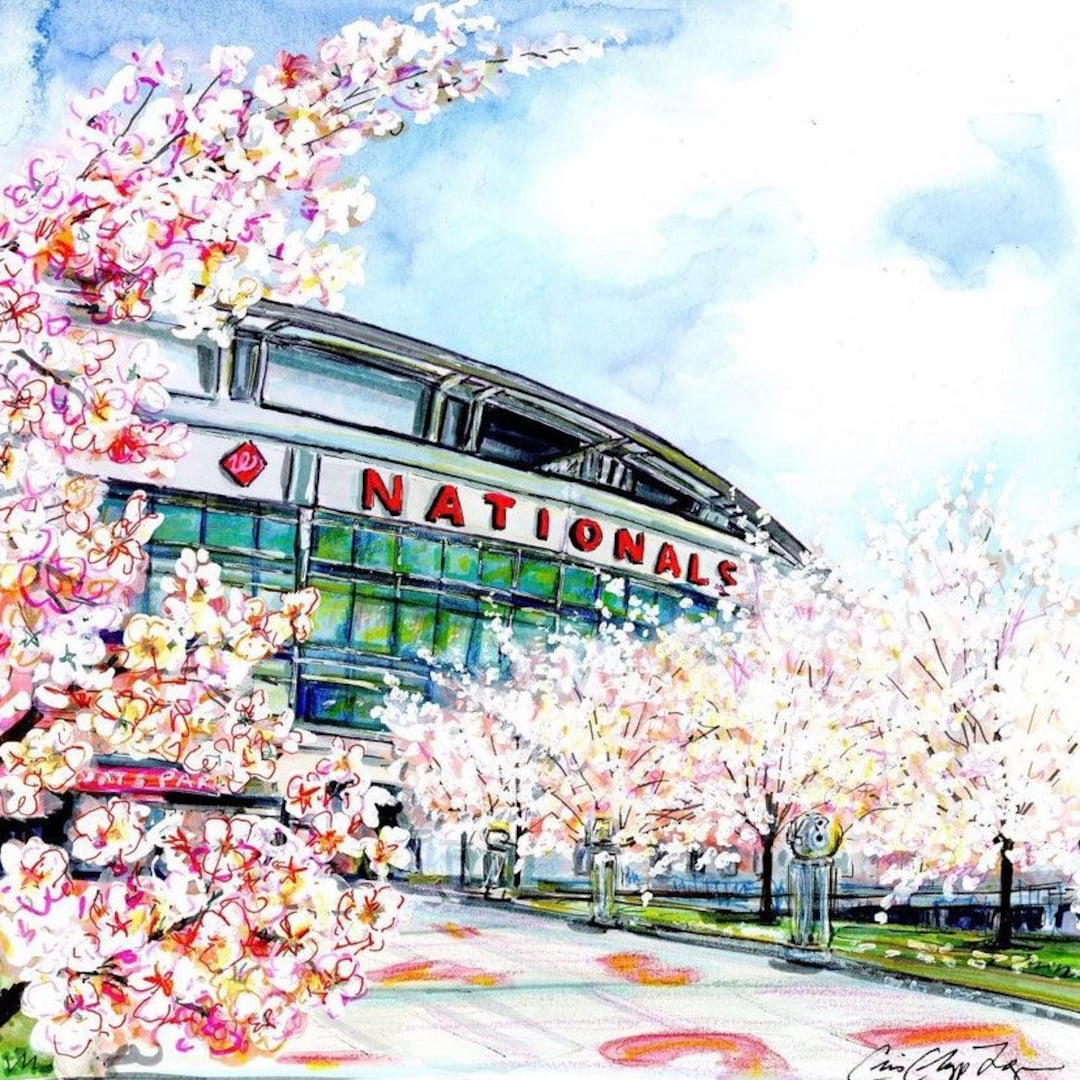 Cherry Blossoms at Washington D.c.s Nats Stadium by Cris 