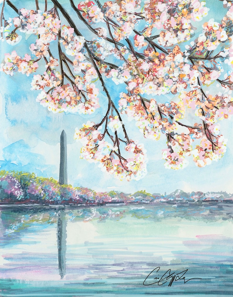 Washington Monument Tidal Basin and Cherry Blossoms by Cris Clapp Logan image 1