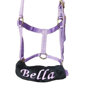 Personalised Headcollar Bridle Cover Head Collar COVER ONLY Horse Pony Cob Full