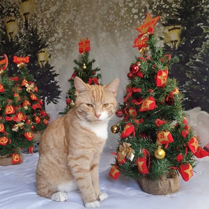 Personalised Christmas Tree Advent Calendar for Cats, Kittens and Pets. Christmas Decoration Tree and Advent Calendar for Cats