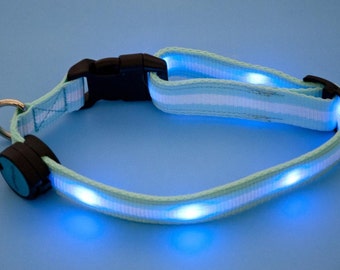 Designer Little Monster Blue LED Light Up Dog Collars. Glow In the Dark Collars. Safety Dog Collar. Size Small and Medium. Blue and White