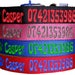 see more listings in the Personalised Dog Collar section